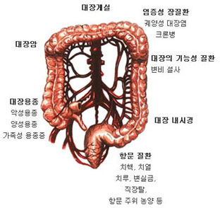 대장항문클리닉