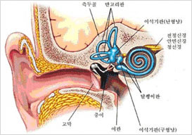 어지럼증