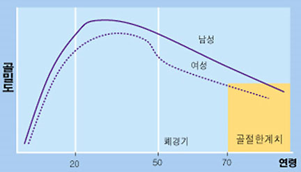 골다공증